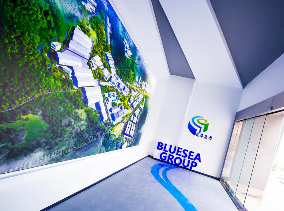 四川藍(lán)?；ぃ瘓F(tuán)）有限公司企業(yè)展廳